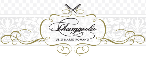 shampoolio logo